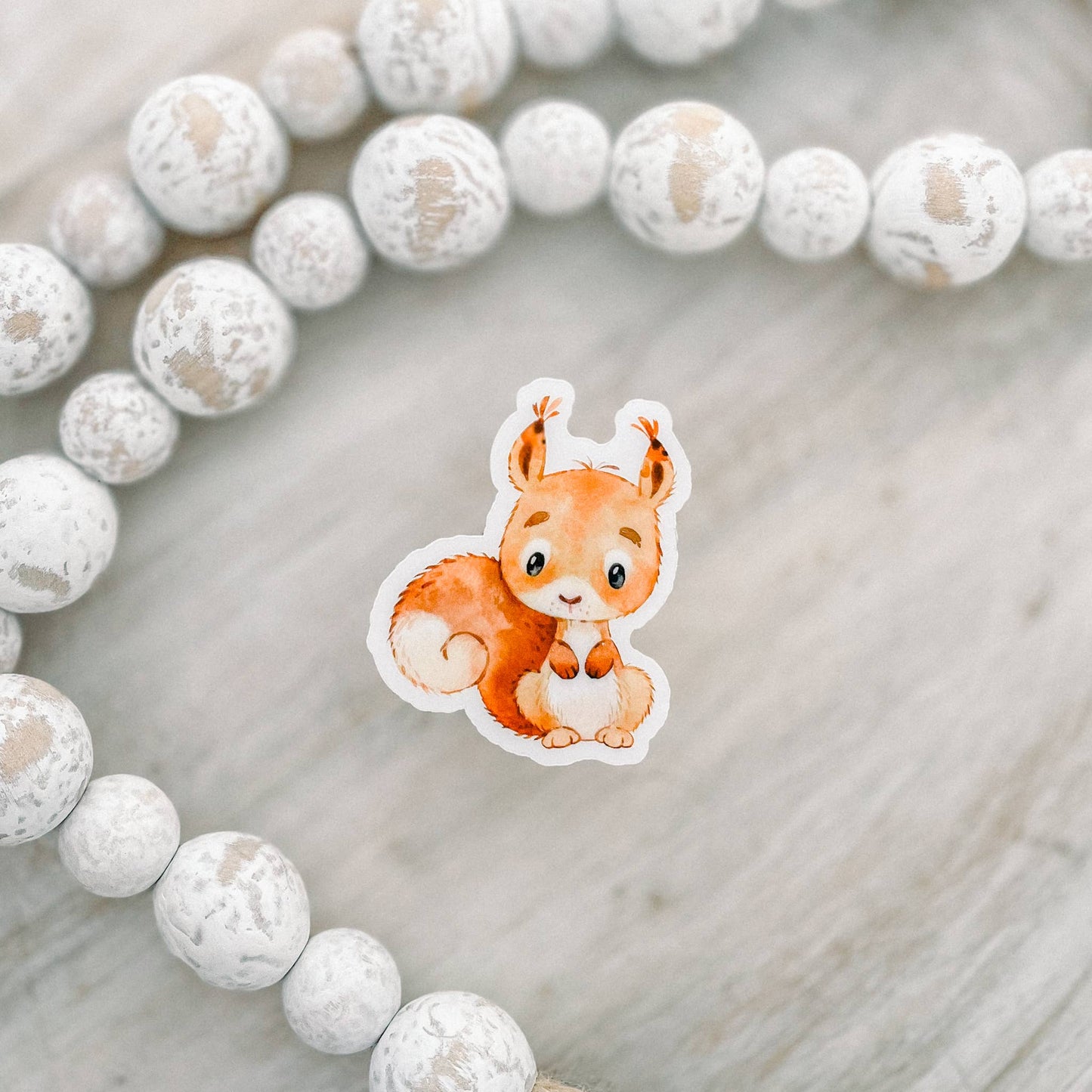Cute Little Squirrel - Clear Vinyl - Sticker - 2.5 in.